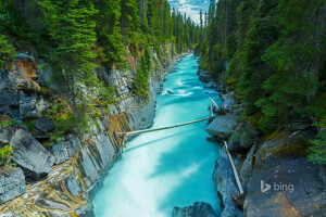 Colombie britannique, Canada, forêt, parc national, NUMA Falls, rivière, rochers