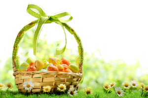 basket, chamomile, Easter, eggs, grass, spring