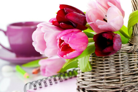 mand, detailopname, bloemen, foto, tulpen