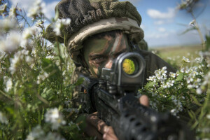 natur, soldater, vapen