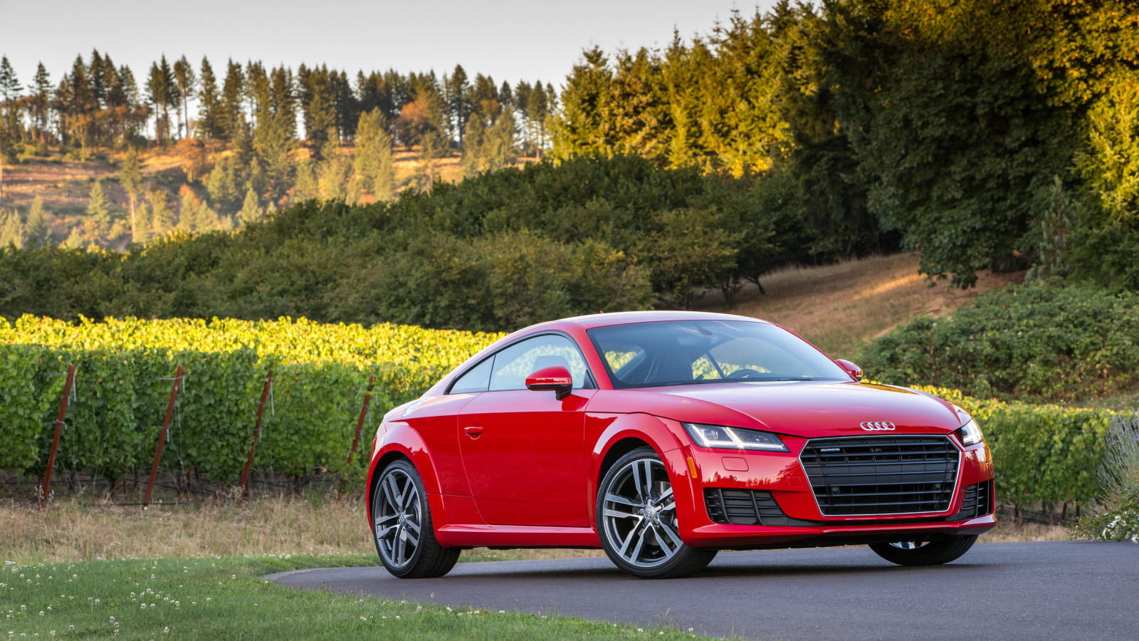 kupé, Audi, quattro, TFSI, 2015, USA-spec