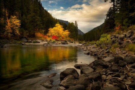 autunno, Doug Shearer, foresta, colline, fiume, pietre