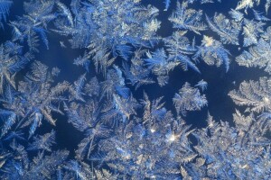 frost, macro, pattern