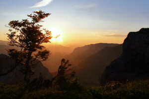 mountains, sunset, tree