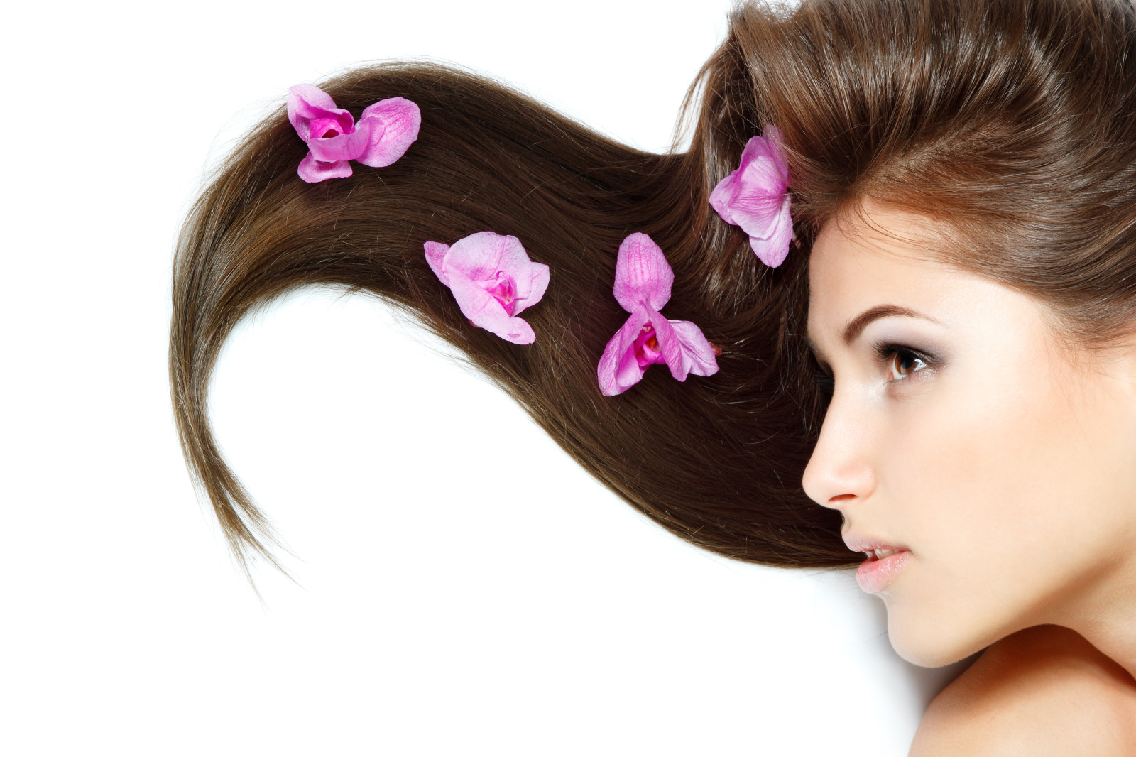 Contexte, visage, fille, fleurs, modèle, cheveux, profil