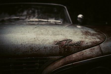 auto, cuerpo, coche, antiguo, Plymouth, retro, oxidado