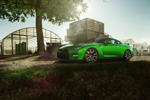 BELLEZZA, auto, Davanti, verde, GT-R, natura, Nissan, sport