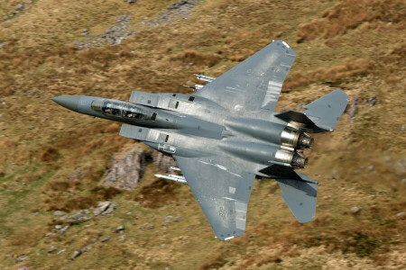 Örn, F-15E, Kämpe, flyg, piloter