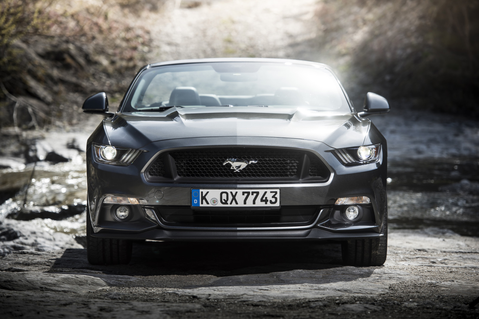 Mustang, Guado, convertibile, 2015, UE-spec