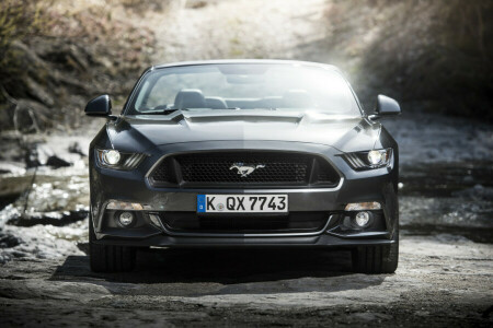 2015, convertible, EU-spec, Ford, Mustang