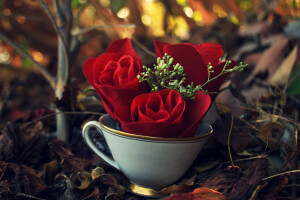 branches, leaves, mug, roses