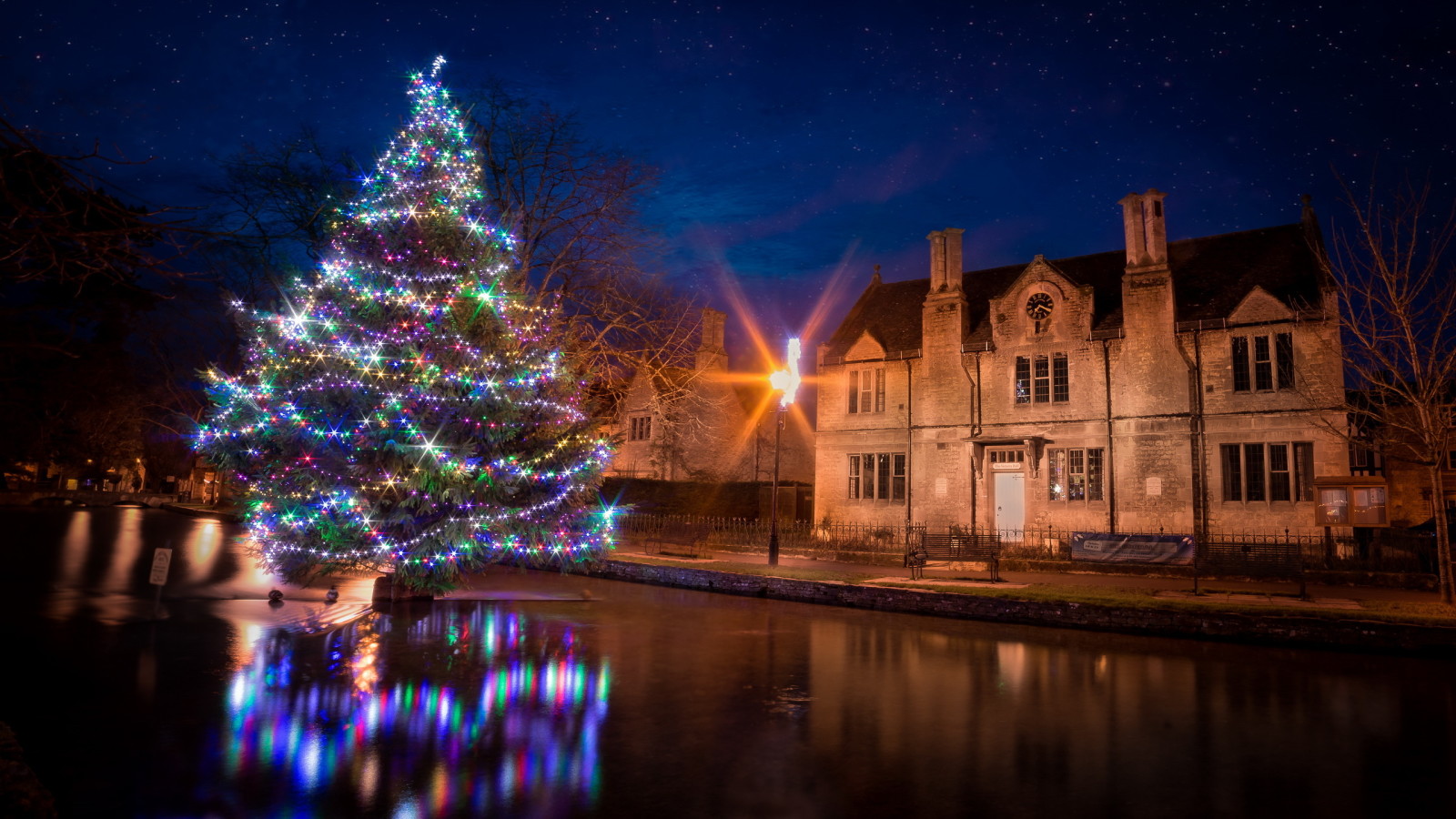 arbre, la ville, nuit