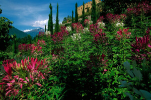 castle, flowers, Garden, Italy, kleoma, Merano, mountains, the bushes