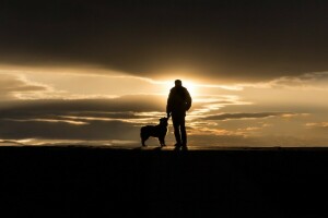 chien, Maine, gens, Portland, Parc Sumner, le coucher du soleil, Le toucher