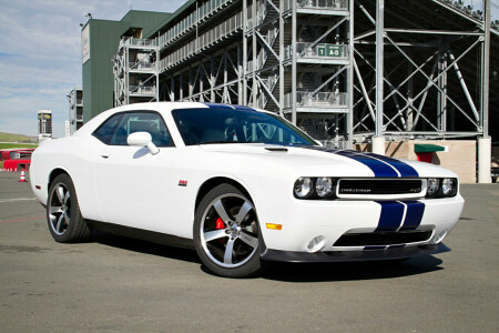 2011, Challenger, Dodge, SRT8