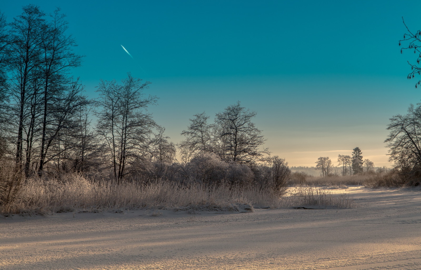 winter, landschap, ochtend-