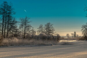 landskab, morgen, vinter