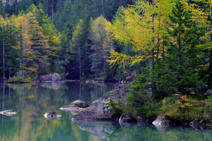 outono, floresta, lago, montanhas, pedras, árvores