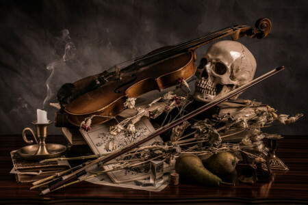 candle, skull, violin