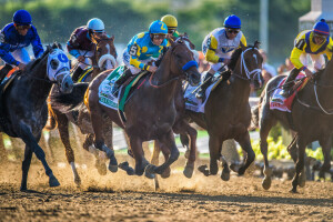 caballo, saltar, jinetes, deporte