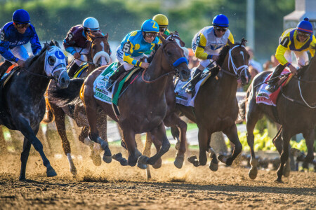 cavalo, saltar, cavaleiros, esporte