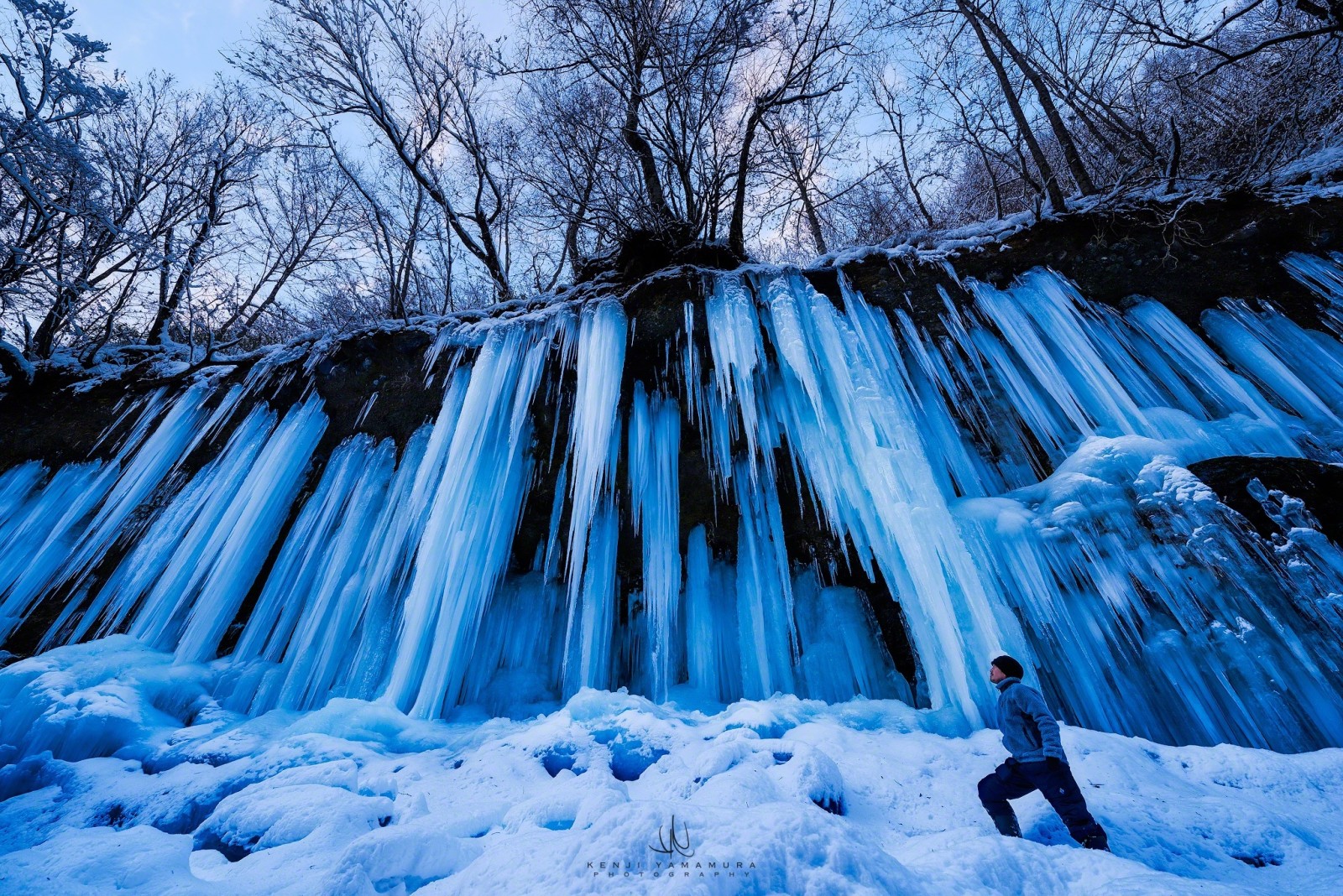 snö, träd, människor, fotograf, Kenji Yamamura, istappar