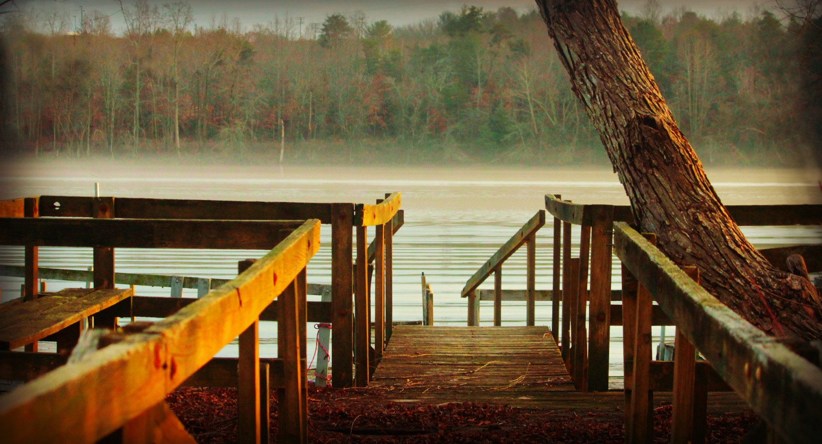 floresta, lago, cais