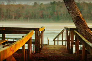 floresta, lago, cais