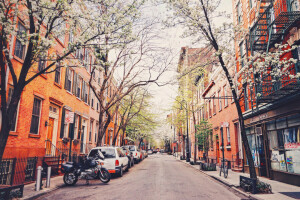 bike, cars, New York, street, trees