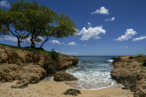 clouds, rocks, sea, shore, the sky, trees