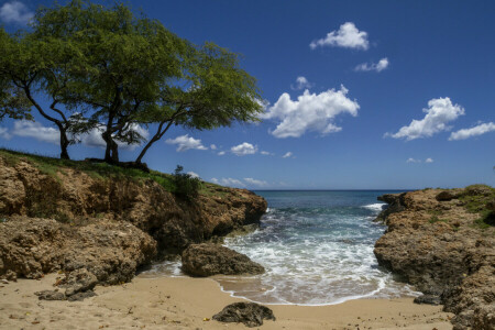 des nuages, rochers, mer, rive, Le ciel, des arbres