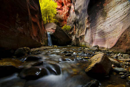 Ravijn, rivier-, rotsen, stenen, stroom, bomen, Verenigde Staten van Amerika, Utah