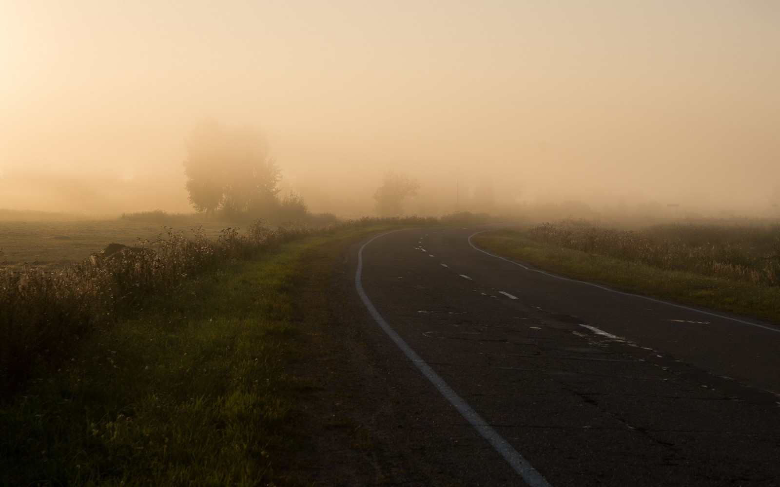 nature, road, field, morning, fog