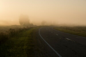 campo, niebla, Mañana, naturaleza, la carretera