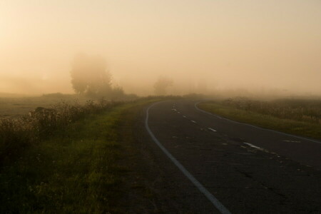 field, fog, morning, nature, road