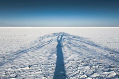 champ, paysage, ombre, neige