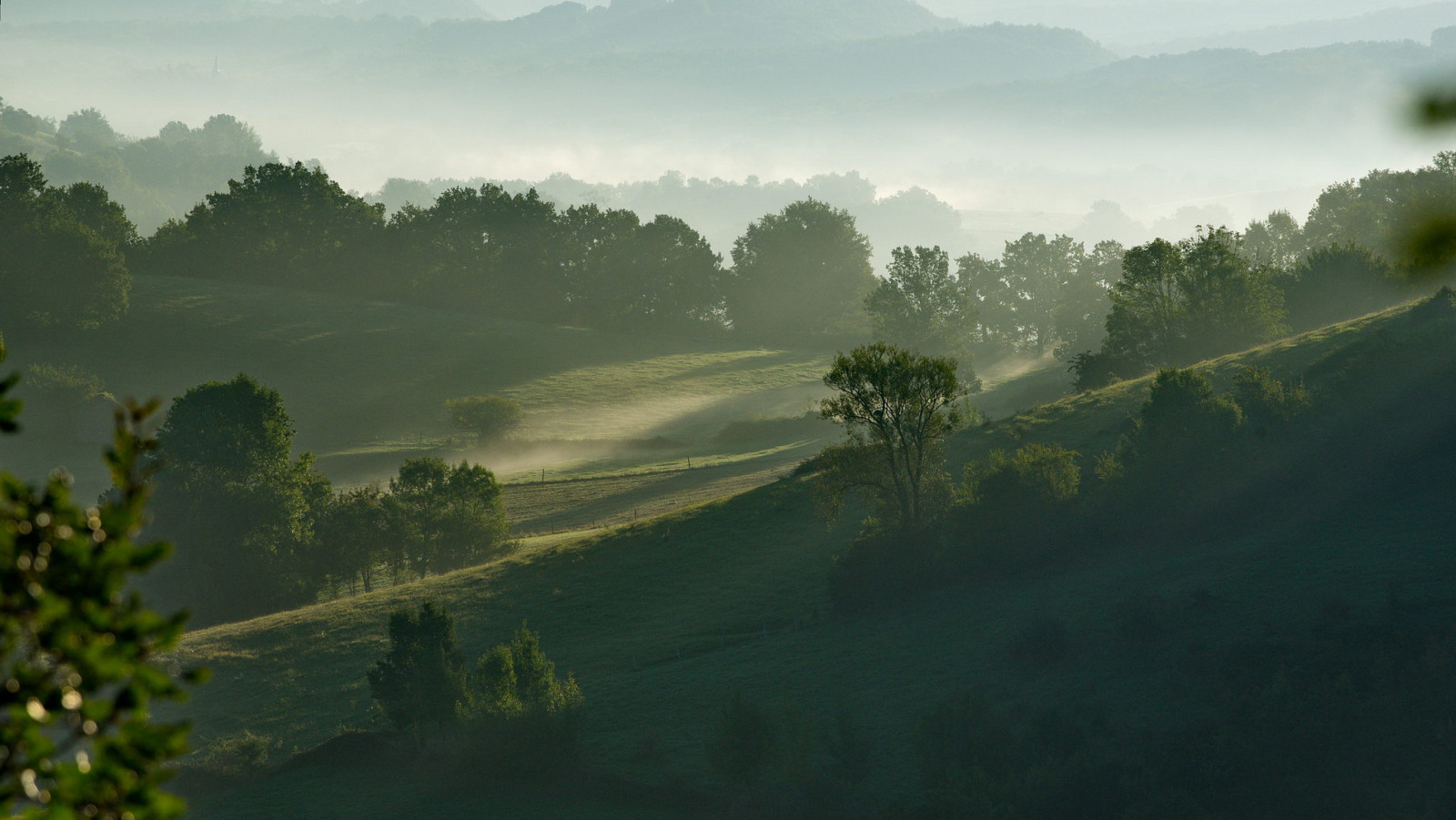 Relva, o céu, árvores, manhã, montanhas, colinas, névoa