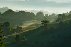 névoa, Relva, colinas, manhã, montanhas, o céu, árvores