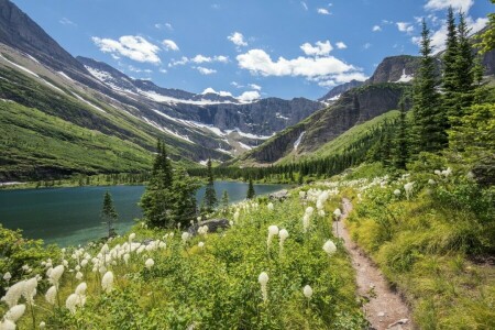 BEAUTÉ, fleurs, Lac, Prairie, montagnes, la nature