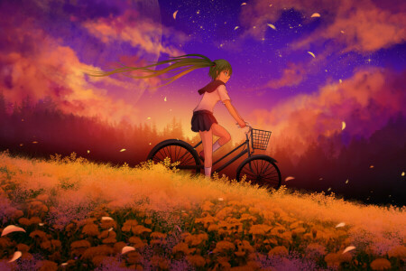 anime, Arte, bicicleta, nubes, flores, niña, Hatsune Miku, pétalos