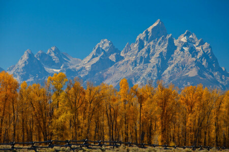 autumn, leaves, mountains, the fence, the sky, trees