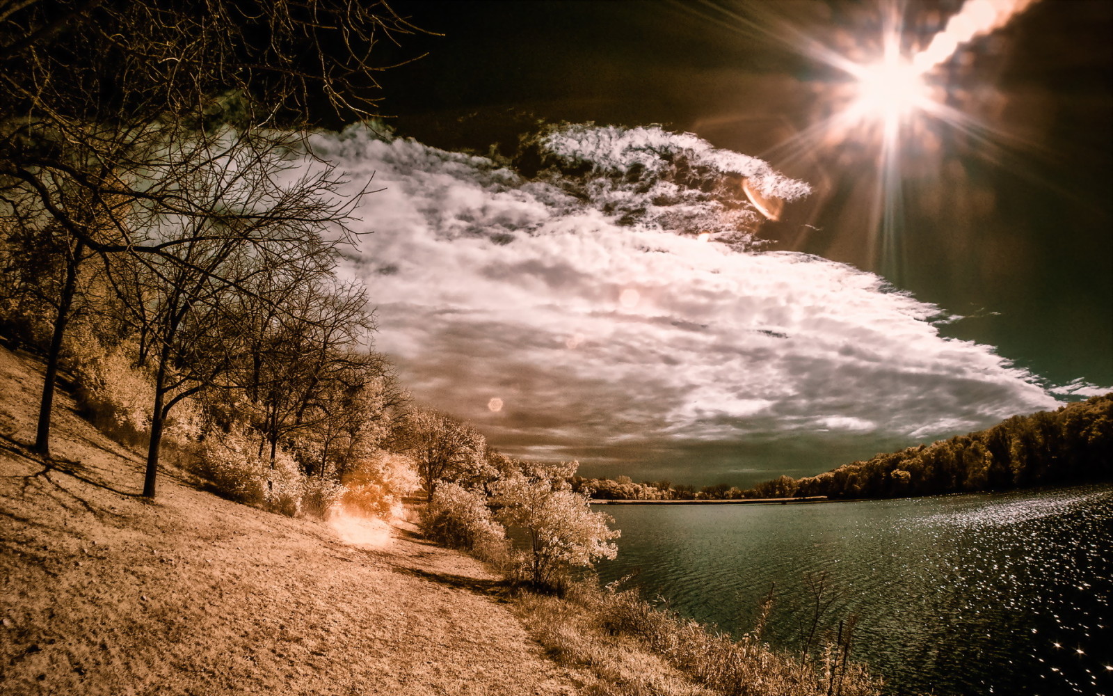 nature, river, landscape