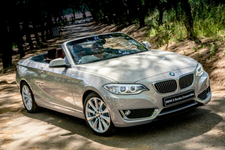 2015, 228i, BMW, Cabrio, convertibil, F23, luxos, ZA-spec