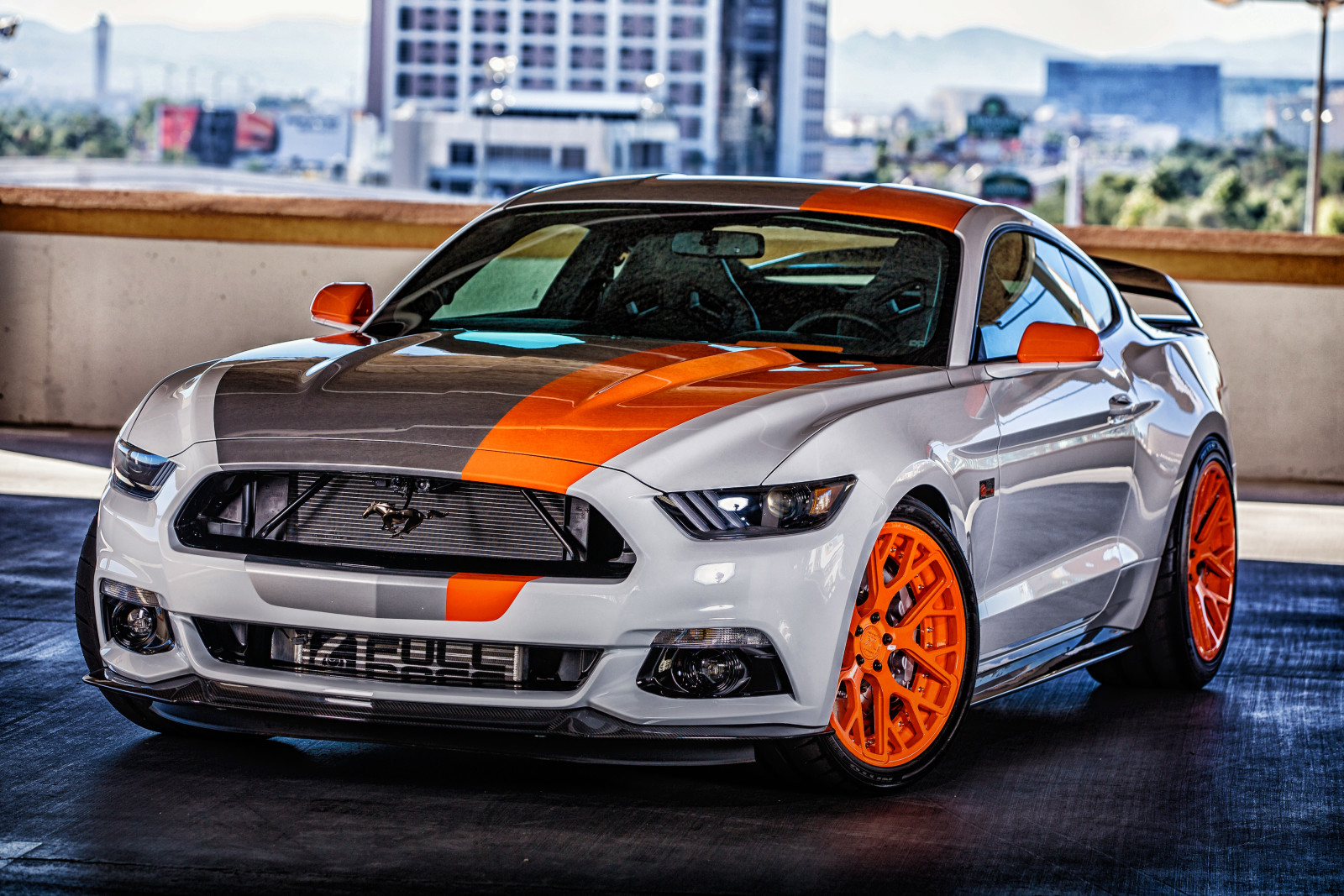 Mustang, Vad, Bojix Design