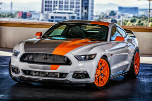 Bojix Design, Guado, Mustang