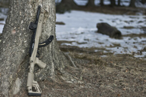 rifle, Ruger 10/22, semi-automatic, tree, weapons