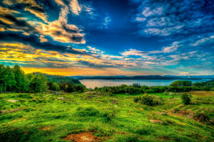 nubes, césped, lago, prado, el cielo, tratamiento, arboles