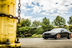 noir, BMW, des nuages, F82, le tuyau d'arrosage, Le ciel, des arbres