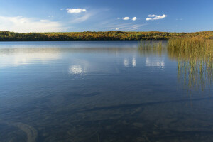 lago, planta, estanque, el cielo, agua