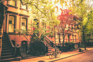 bicyclette, Accueil, New York, rue, le soleil, des arbres